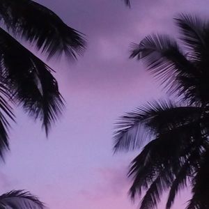 Meet your Posher, Casandra